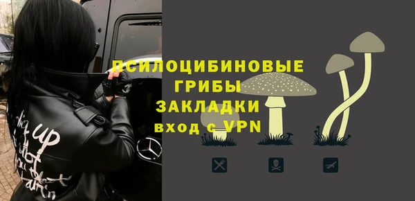 бошки Белокуриха