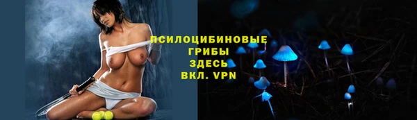 соль ск Балабаново