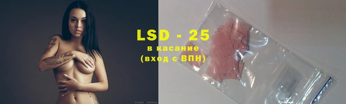 эйфоретик Беломорск