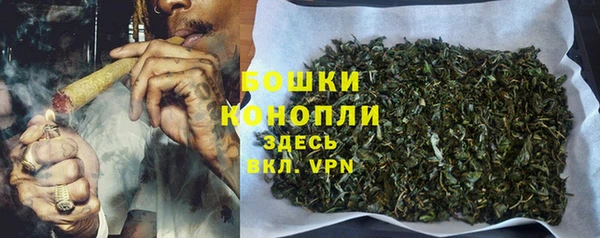 СК Балахна