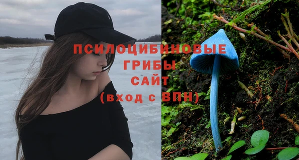 СК Балахна