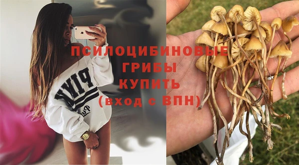 бошки Белокуриха