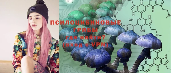 бошки Белокуриха