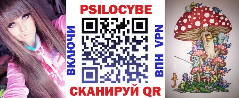 Галлюциногенные грибы Psilocybe  Озёры 